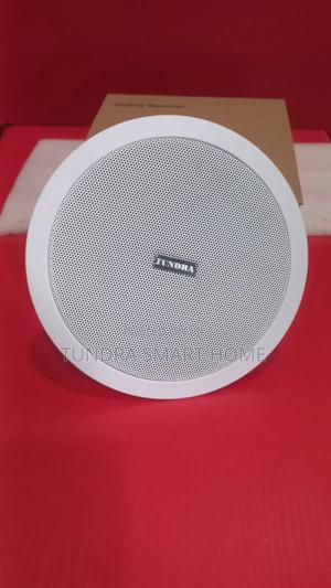 Tundra 10watts Ceiling Speaker T-10v