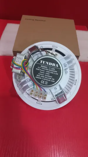 Tundra 10watts Ceiling Speaker T-10v