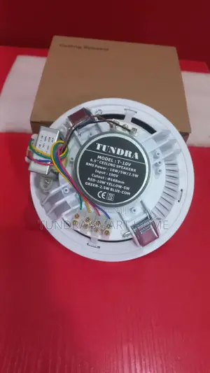 Tundra 10watts Ceiling Speaker T-10v