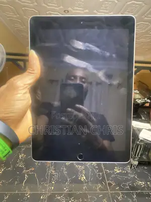 Apple iPad Pro 10.5 (2017) 128 GB Gray