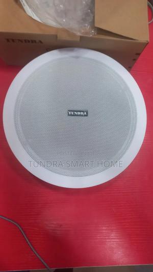 Tundra 50watts Frame Ceiling Speaker T-50c