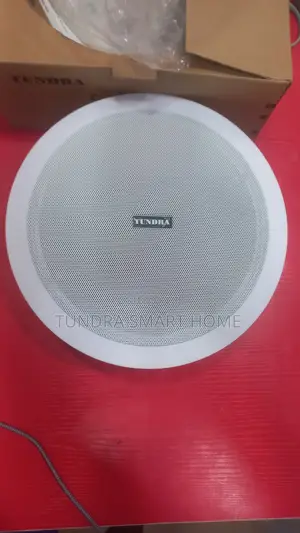 Tundra 50watts Frame Ceiling Speaker T-50c