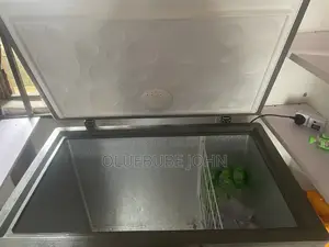 Shelves And Freezer