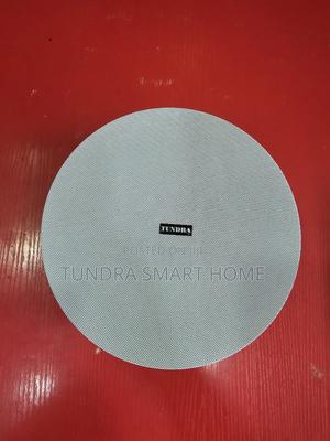 Tundra 40watts Frameless Ceiling Speaker