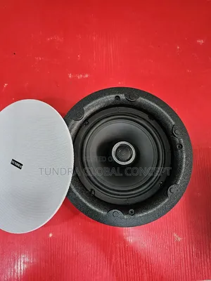 Tundra 40watts Frameless Ceiling Speaker