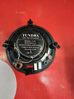 Tundra 40watts Frameless Ceiling Speaker