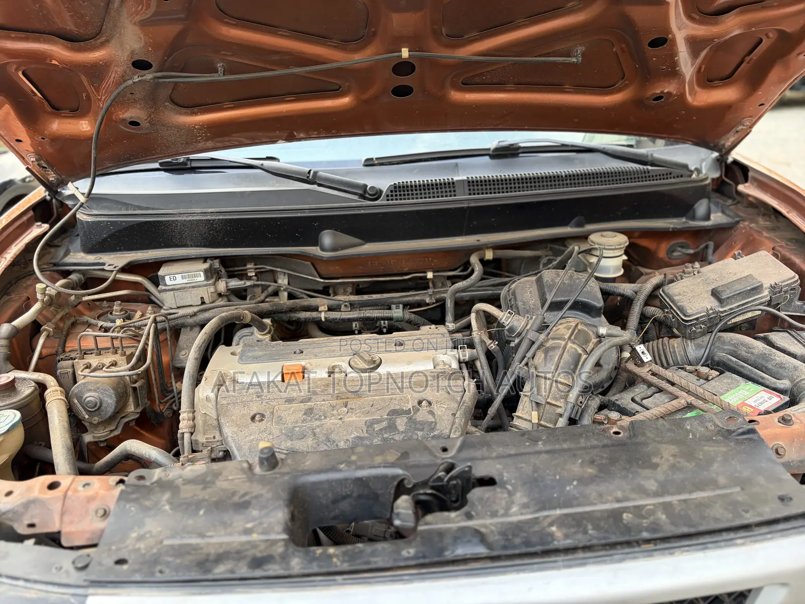 Honda Element 2008 Orange