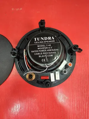 Tundra Stereo Frameless Ceiling Speaker 40watts Black