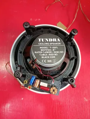 Tundra 50watts Frameless Stereo Ceiling Speaker T-50fl