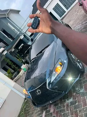Lexus IS 2008 Gray