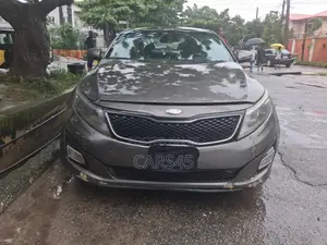 Kia Optima 2014 Gray
