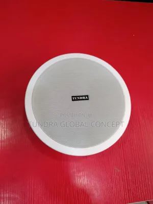 Tundra Stereo T-815s Ceiling Speaker 15watts 8inches