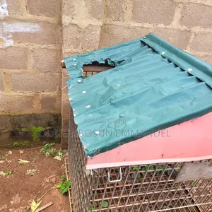 Well Standard Dog Cage