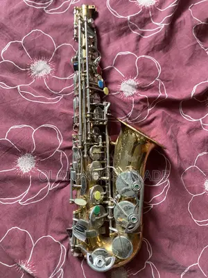 Used Thunderstone Professional Alto Saxophone