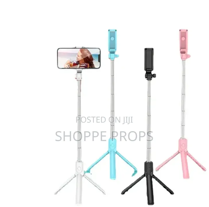 R1s Selfiestick