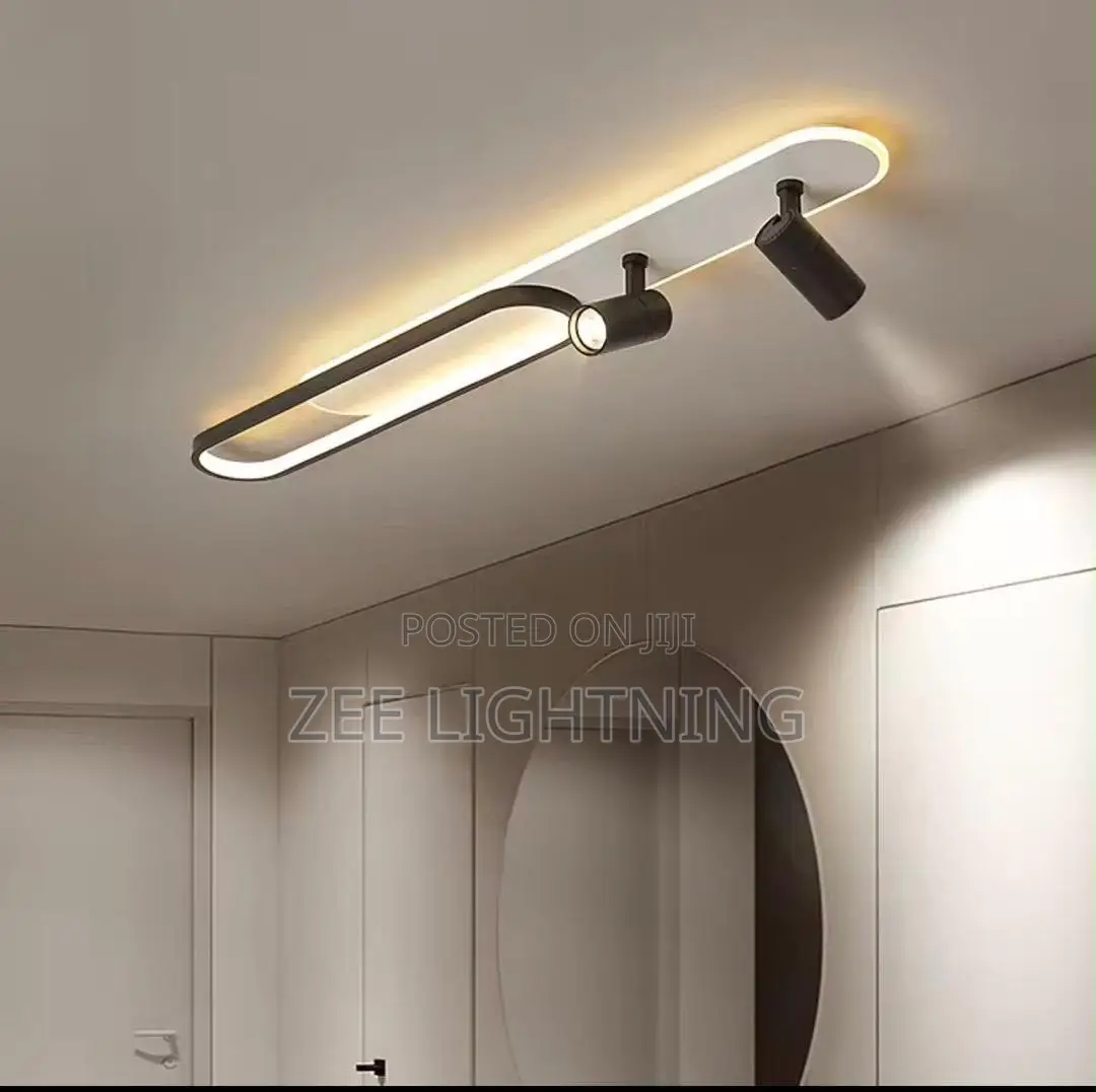 Long Ceiling Flush With Track Light