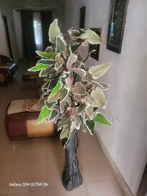 Flower Tree