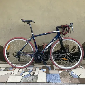 Clean 8-Speed Road Bike With Carbon Fork and Modern Hand Selector.