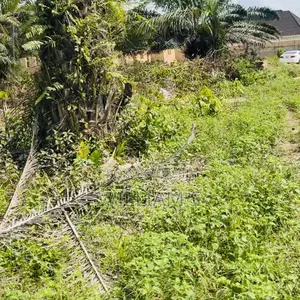 Distress 100ft by 200ft Obagie Nevobosa Benin City