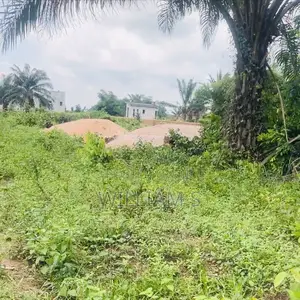 Fast Hand 100ft by 200ft Obagie Nevobosa Benin City