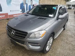 Mercedes-Benz M Class 2015 Gray