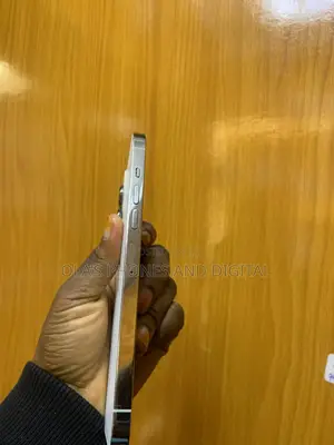 Apple iPhone 13 Pro Max 128 GB Silver