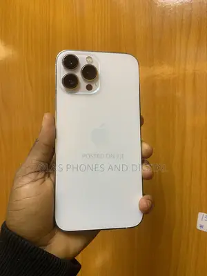 Apple iPhone 13 Pro Max 128 GB Silver