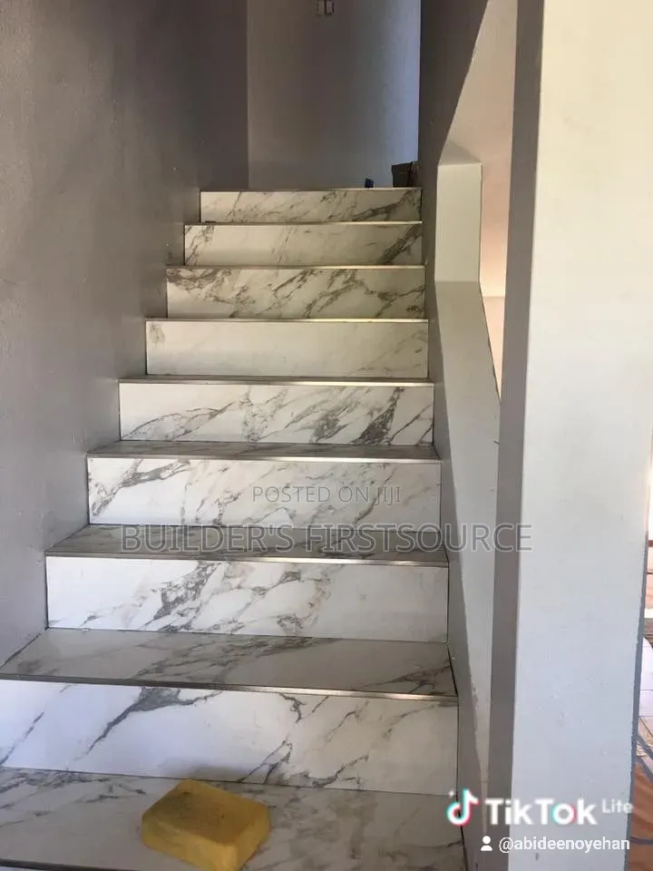 Professional Tiler