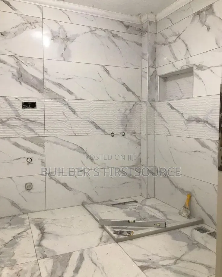 Professional Tiler