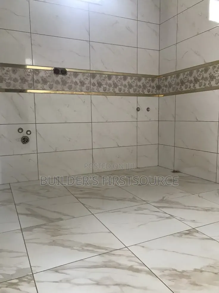 Professional Tiler
