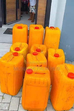 Premium Quality Palm Oil – Retail Wholesale | Munachi Palm Hu