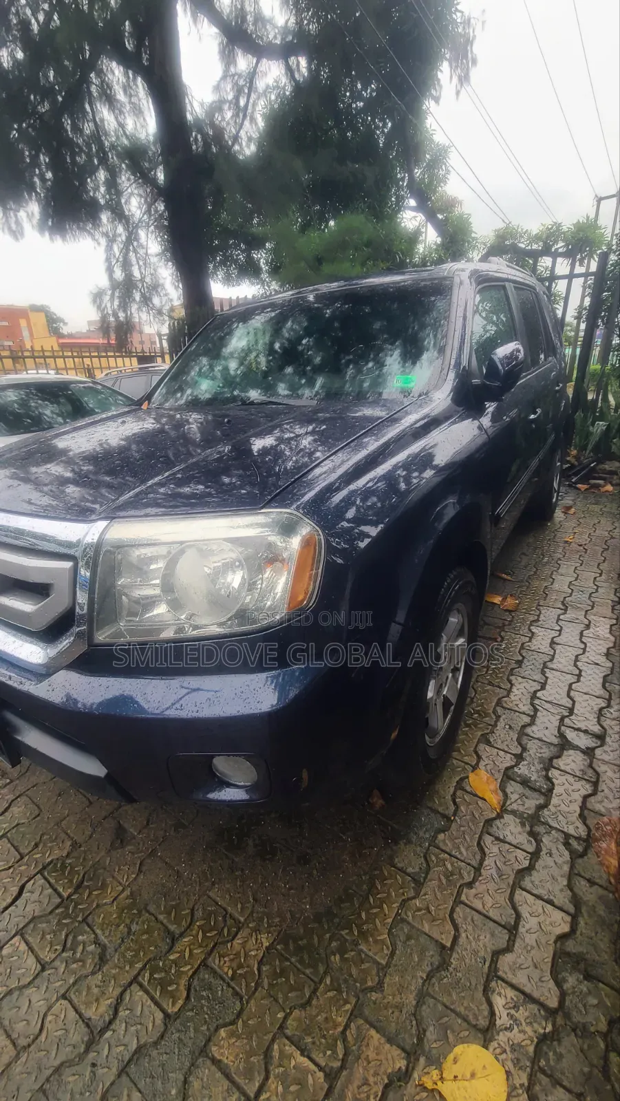 Honda Pilot 2011 Blue