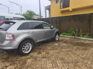 Ford Edge 2008 Gray