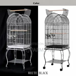 Beautiful Imported Cage for Parrot Birds