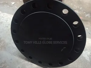 12x300 Blind Flange Rf