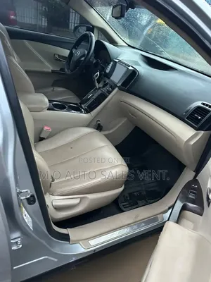 Toyota Venza 2010 Silver