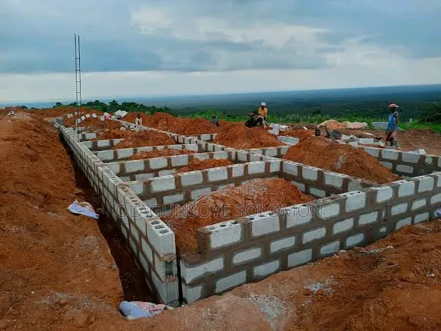 Professional Bricklayer and Building Contractor