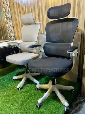 Unique Ergonomic Office Chairs