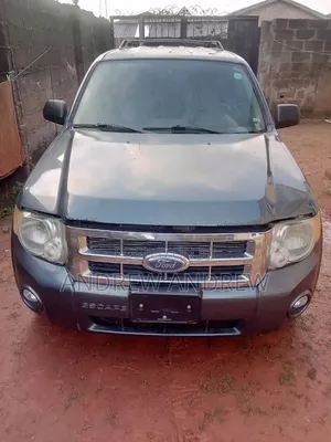 Ford Escape 2010 Gray