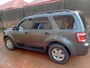 Ford Escape 2010 Gray