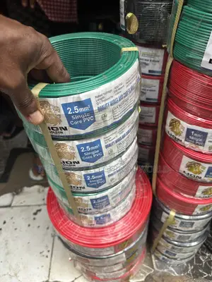 This Is Lion Cable 2.5mm