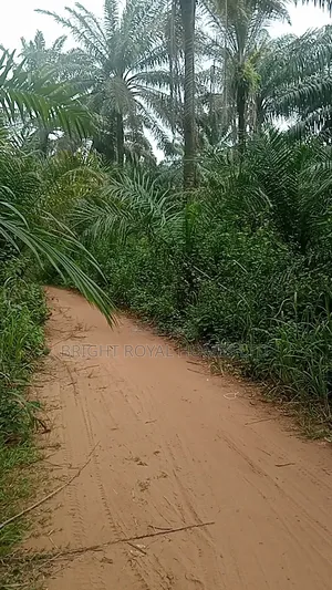 660 Plots in Owerri