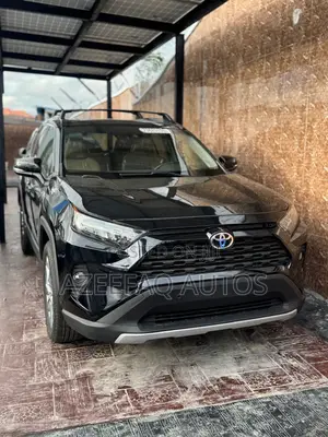 Toyota RAV4 XLE AWD 2019 Black