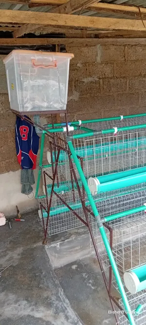 Poultry Cage