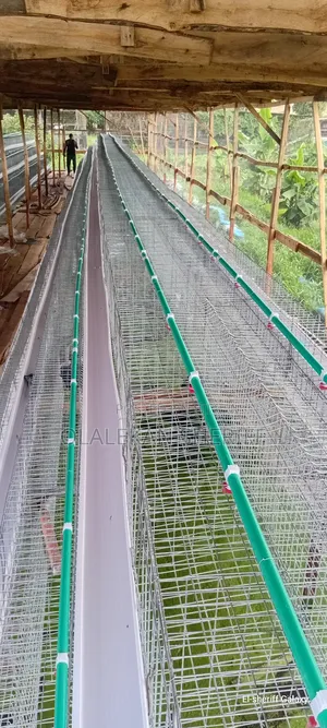 Poultry Cage