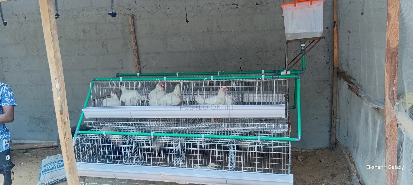 Poultry Cage