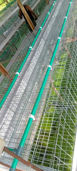 Poultry Cage