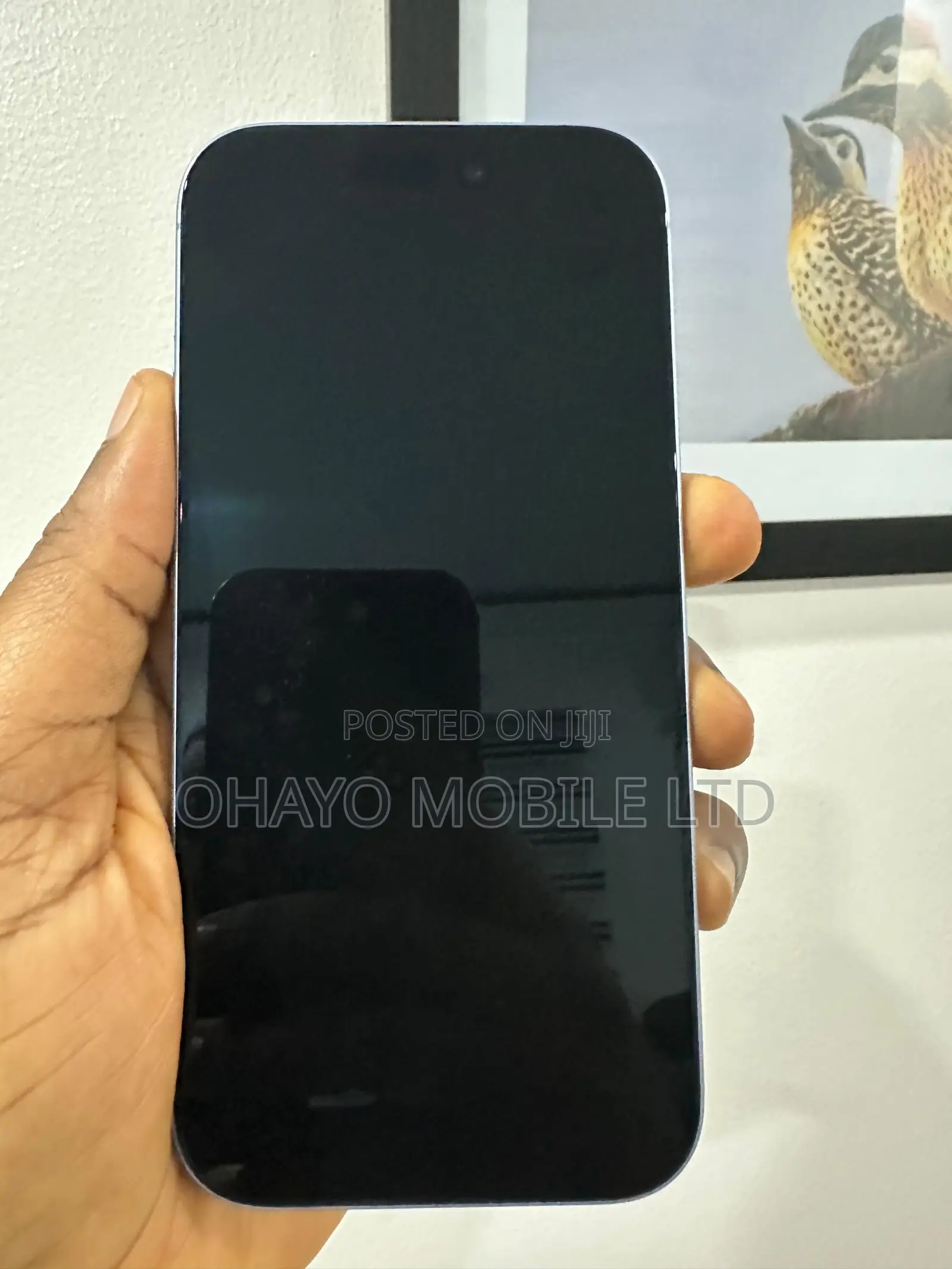 Apple iPhone 17 256 GB Blue