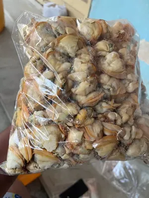 Fresh Clams