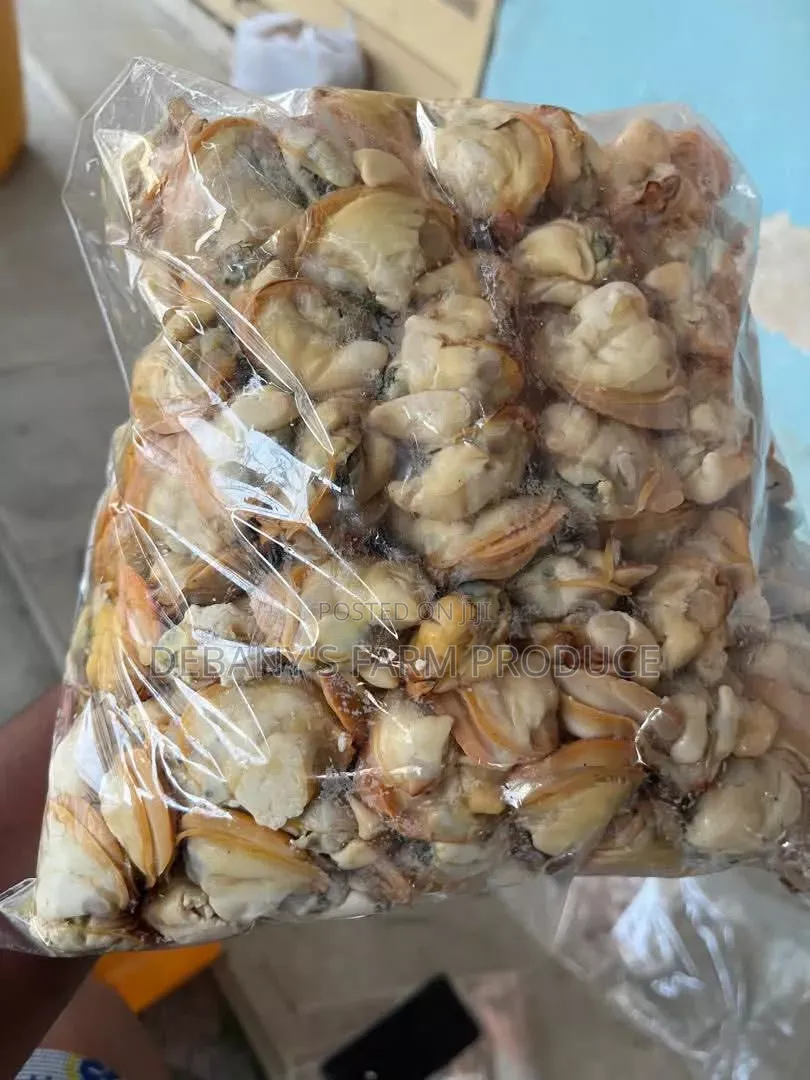Fresh Clams